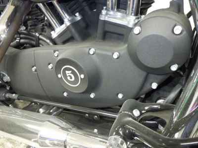 Harley-Davidson Sportster Forty-Eight XL1200X 2015