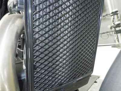 Triumph Speed 400 2024