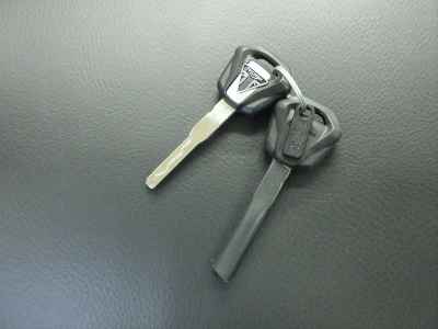 Triumph Speed 400 2024