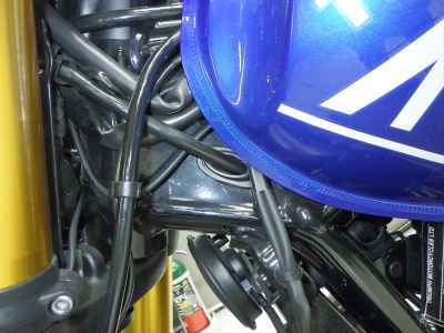 Triumph Speed 400 2024