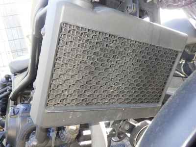 Honda Rebel CMX250 2020