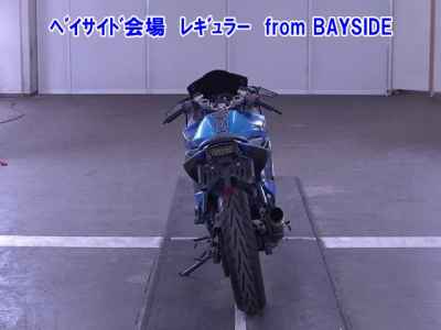 Kawasaki Ninja 250R 2010