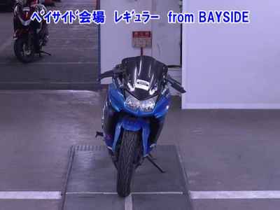 Kawasaki Ninja 250R 2010