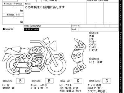 Kawasaki Ninja 250R 2010