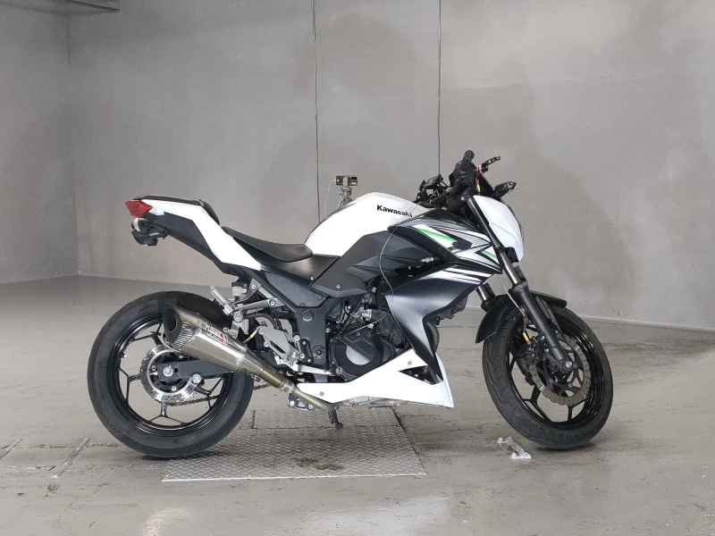 Kawasaki Z250 2014