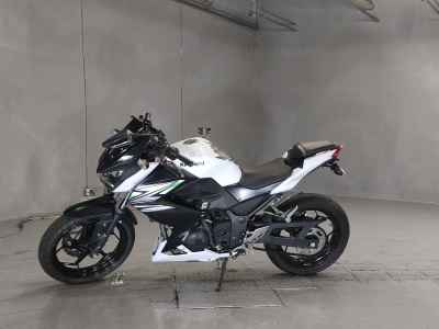 Kawasaki Z250 2014