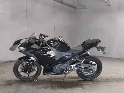 Kawasaki Ninja 250 2019