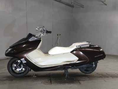 Yamaha MAGZAM 2007