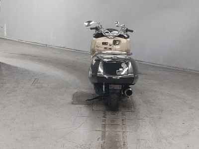 Yamaha MAGZAM 2007