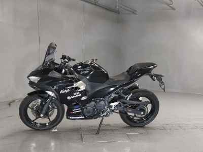 Kawasaki Ninja 250 2019