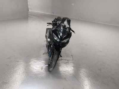 Kawasaki Ninja 250 2019