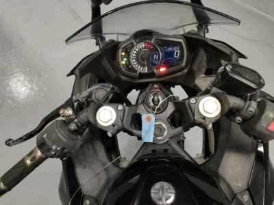 Kawasaki Ninja 250 2019