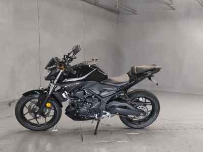 Yamaha MT-25 2018