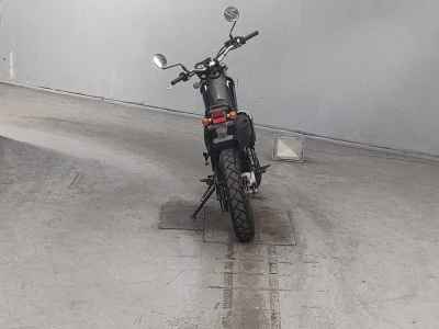 Yamaha TRICKER 2010