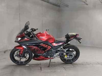 Kawasaki Ninja 250 2013