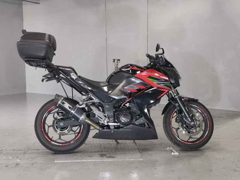 Kawasaki Z250 2013
