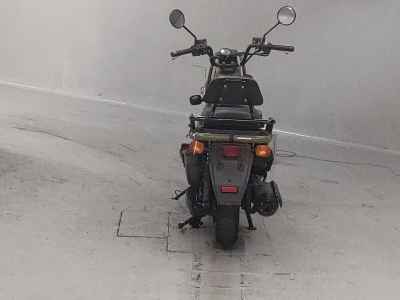 Honda PS250 BIG RUCKUS 2006