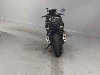 Kawasaki Ninja 1000 2018