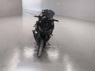 Kawasaki Ninja 1000 2018