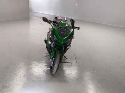 Kawasaki Ninja 1000 2019