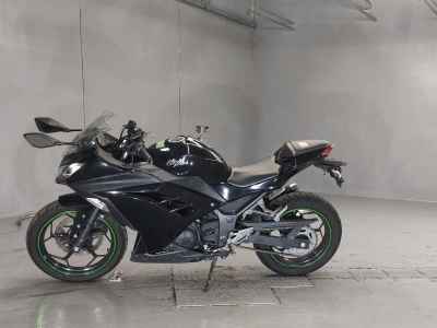 Kawasaki Ninja 250 2014
