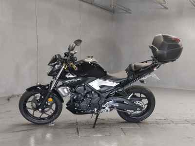 Yamaha MT-25 2016