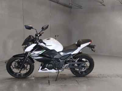 Kawasaki Z250 2014