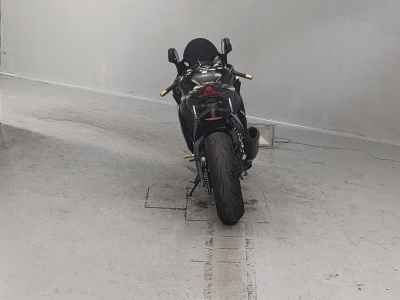 Kawasaki Ninja ZX-10R 2019