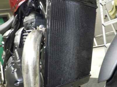 Triumph Speed 400 2024