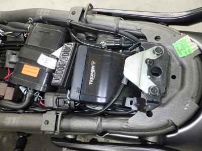 Triumph Speed 400 2024