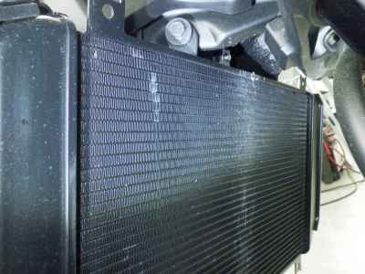 Kawasaki Z900RS Cafe 2024