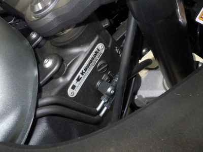 Kawasaki Ninja 1000A 2018