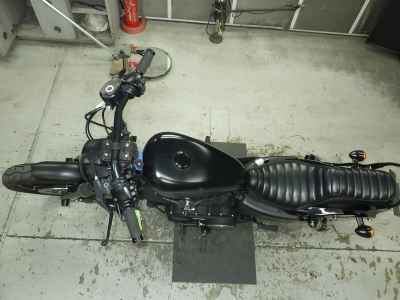 Harley-Davidson Sportster Iron XL883N 2018