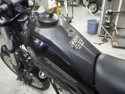 Yamaha TRICKER 2010