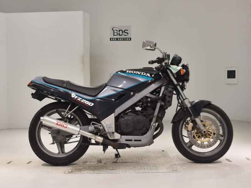 Honda VTZ250 1989