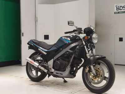 Honda VTZ250 1989