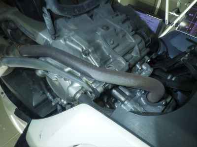 Honda Forza Z 2011