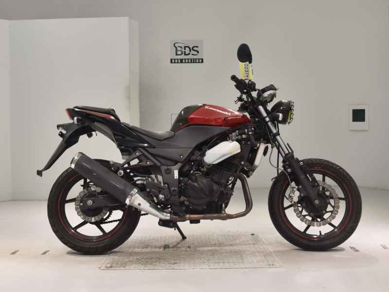 Kawasaki Ninja 250R 2010