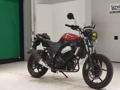 Kawasaki Ninja 250R 2010