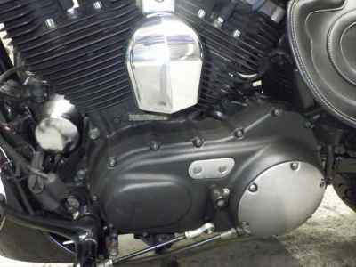 Harley-Davidson Sportster Custom XL1200C 2013