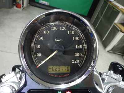 Harley-Davidson Sportster Custom XL1200C 2013