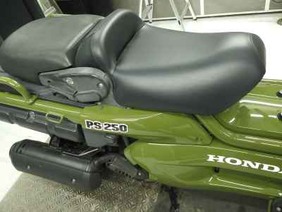 Honda PS250 BIG RUCKUS 2004