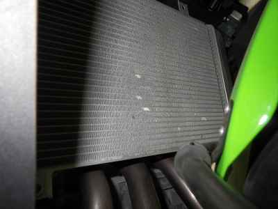 Kawasaki ZX-4R SE 2024