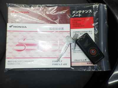 Honda Forza Z 2008
