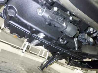 Harley-Davidson RH975 2023