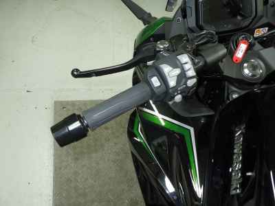 Kawasaki Ninja 1000SX 2022