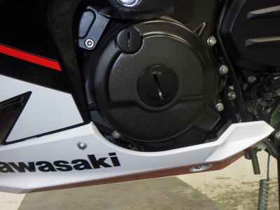 Kawasaki Ninja 250 2021