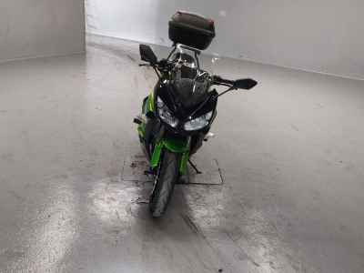 Kawasaki Ninja 1000 2013