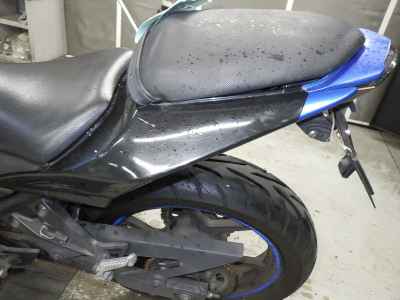 Kawasaki Ninja 250R 2010