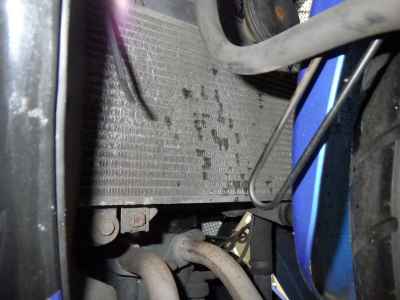 Kawasaki Ninja 250R 2010